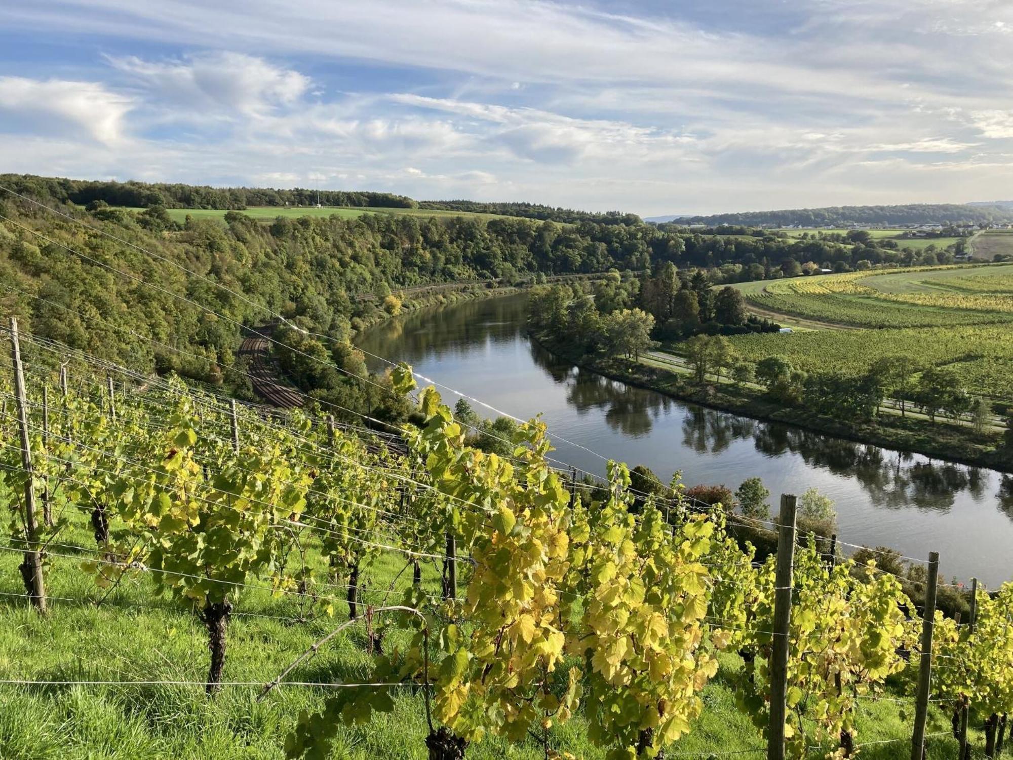 Comfortable Apartment in Ediger-Eller Eifel near Town Centre Sankt Aldegund Eksteriør bilde