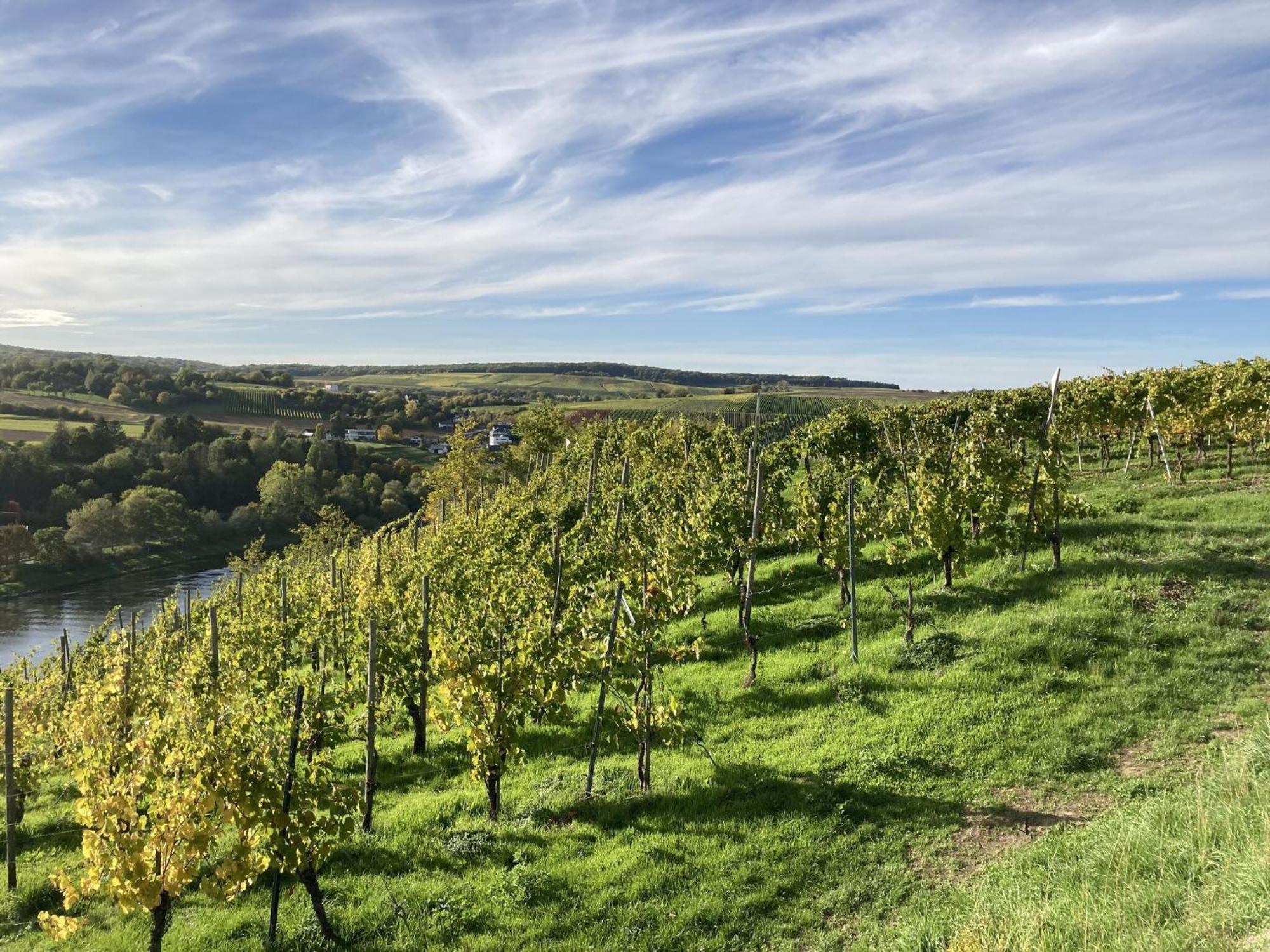 Comfortable Apartment in Ediger-Eller Eifel near Town Centre Sankt Aldegund Eksteriør bilde