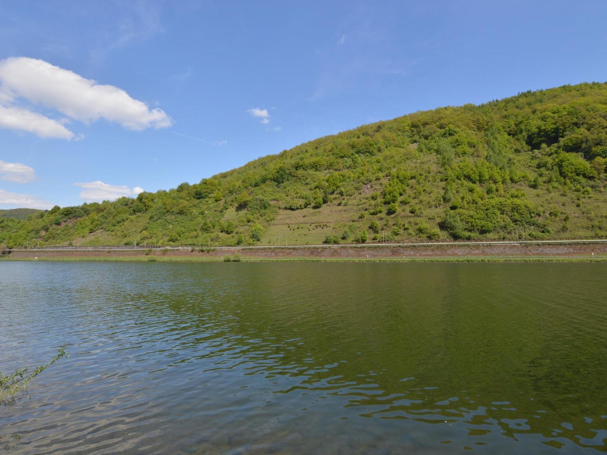 Comfortable Apartment in Ediger-Eller Eifel near Town Centre Sankt Aldegund Eksteriør bilde